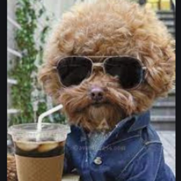 Make an Offer! - Picture 2 of 3